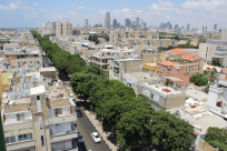 السكان يعترضون - البلدي تنوي خلع 50 شجرة تاريخية على طول شارع النزهة بيافا